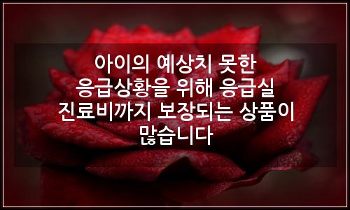 오늘의 이미지