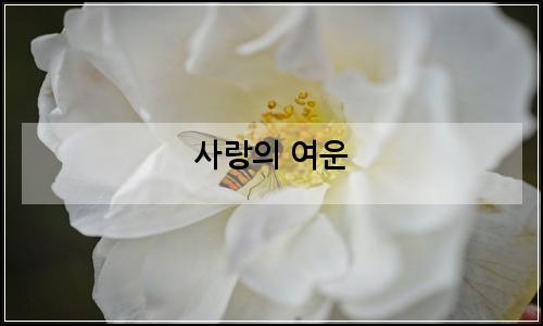 오늘의 이미지