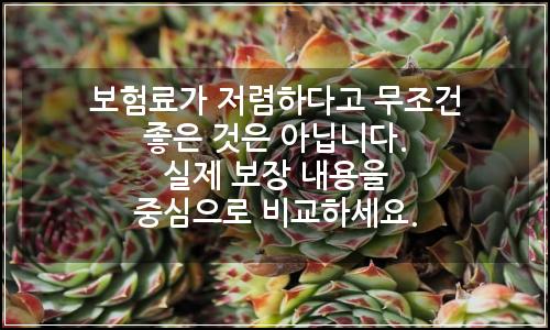 오늘의 이미지
