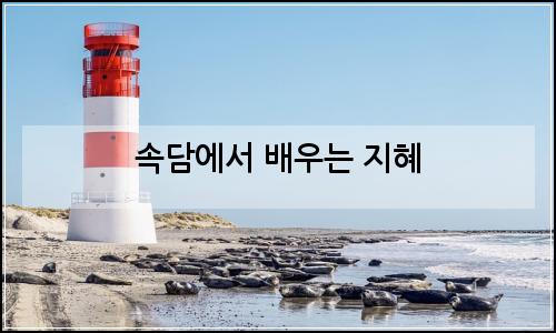 오늘의 이미지