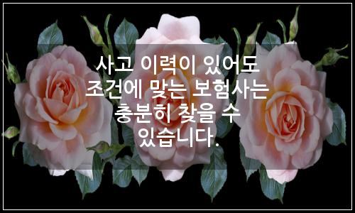오늘의 이미지