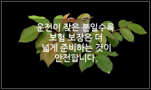 오늘의 이미지