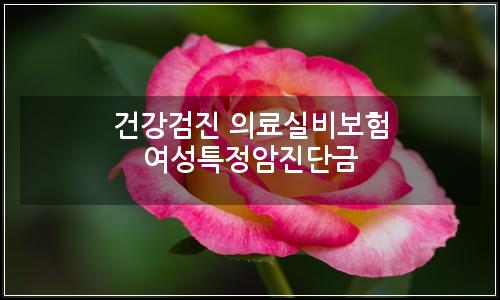 오늘의 이미지