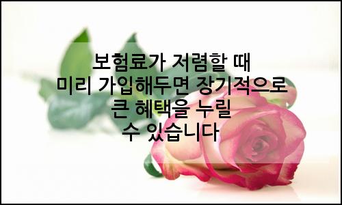 오늘의 이미지