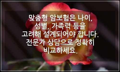 오늘의 이미지