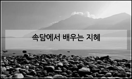 오늘의 이미지