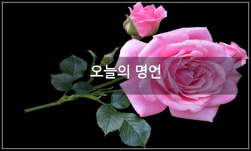 오늘의 이미지