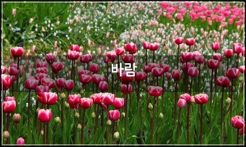 오늘의 이미지