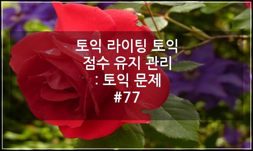 오늘의 이미지