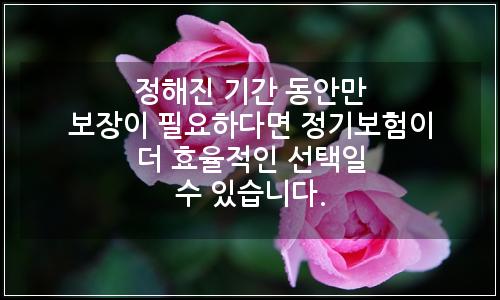 오늘의 이미지