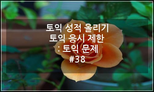 오늘의 이미지