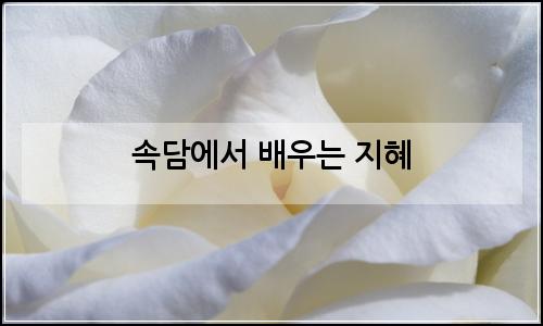 오늘의 이미지