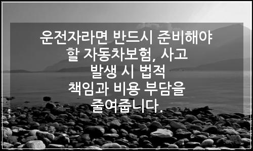 오늘의 이미지