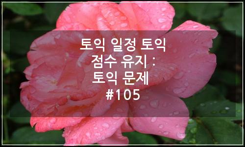 오늘의 이미지