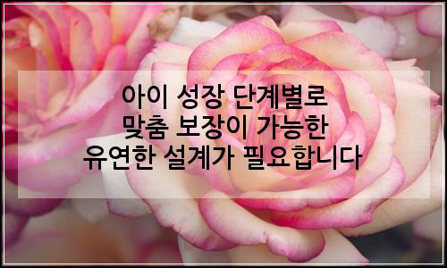오늘의 이미지