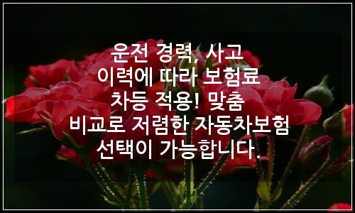 오늘의 이미지