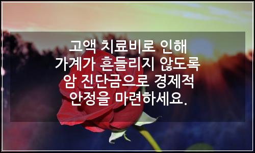 오늘의 이미지