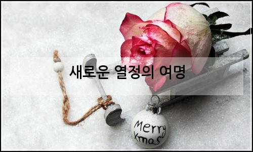 오늘의 이미지