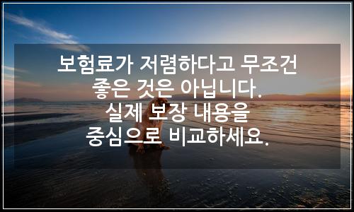 오늘의 이미지
