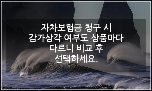 오늘의 이미지