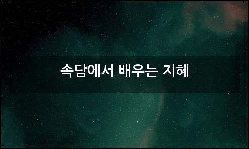 오늘의 이미지
