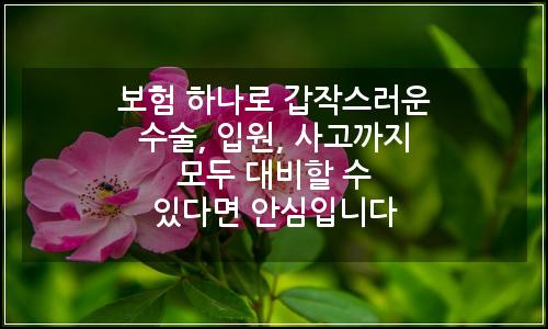 오늘의 이미지