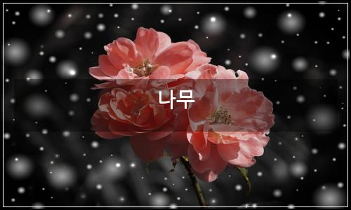 오늘의 이미지