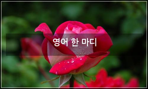 오늘의 이미지