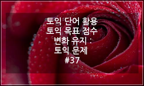 오늘의 이미지