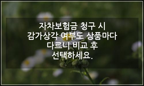 오늘의 이미지
