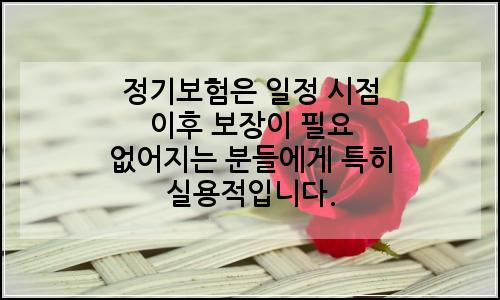 오늘의 이미지