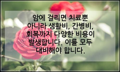 오늘의 이미지
