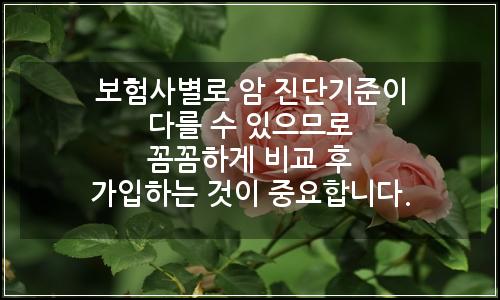 오늘의 이미지