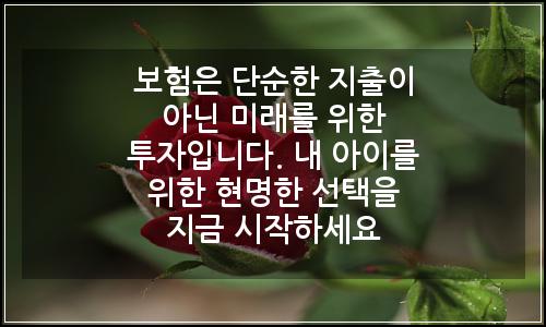 오늘의 이미지