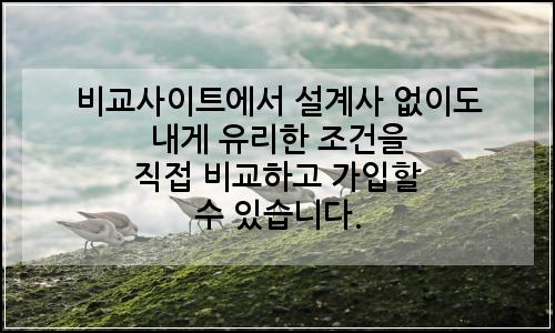 오늘의 이미지