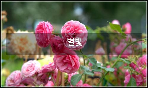 오늘의 이미지