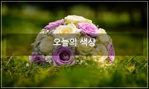 오늘의 이미지