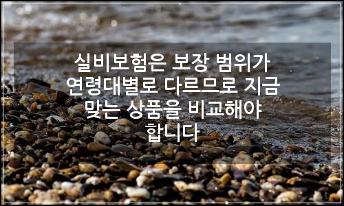 오늘의 이미지