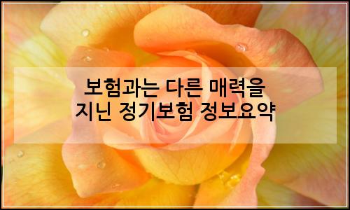 오늘의 이미지