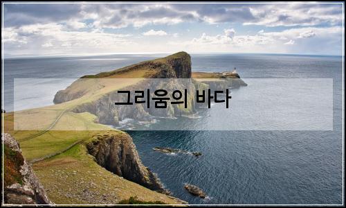오늘의 이미지