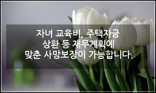 오늘의 이미지