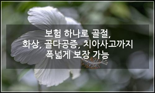 오늘의 이미지