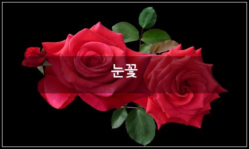 오늘의 이미지