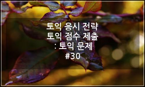 오늘의 이미지