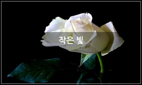 오늘의 이미지