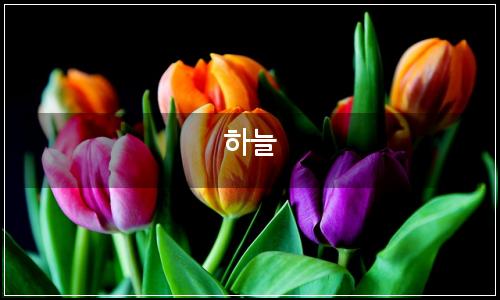 오늘의 이미지