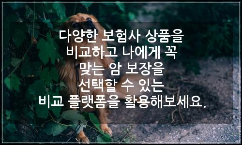 오늘의 이미지