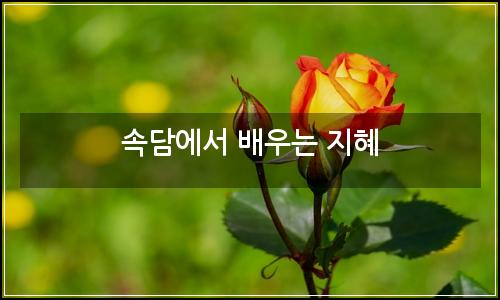 오늘의 이미지
