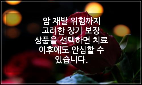 오늘의 이미지