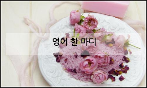 오늘의 이미지